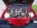 engine bay 5-23-08