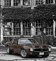 2010 08 09 Firebird 05